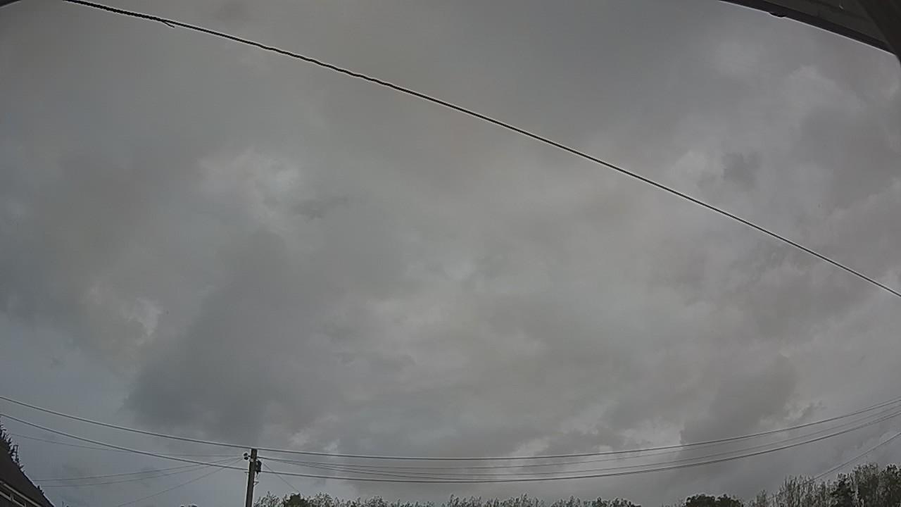 20260907_100152_cam2.jpg
