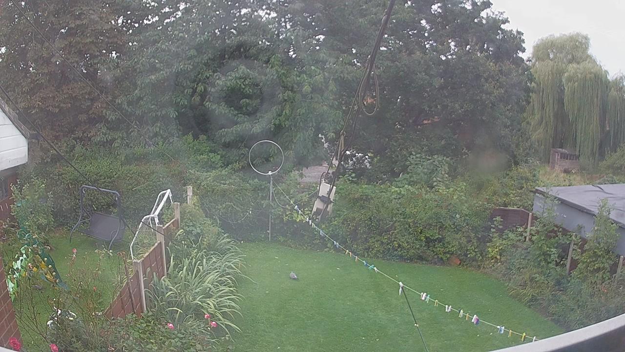 20260907_100933_cam1.jpg