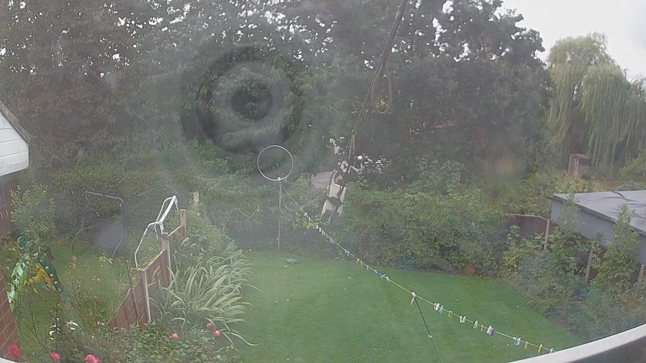 20260907_120003_cam1.jpg