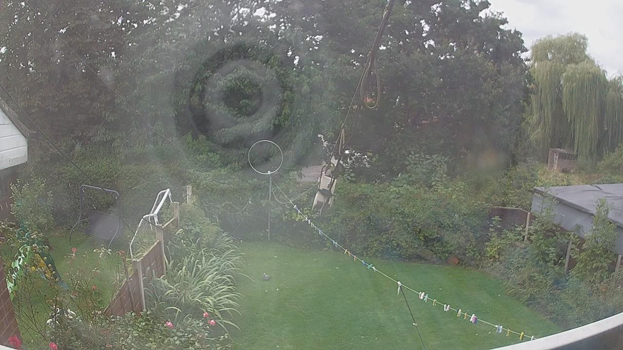 20260907_120727_cam1.jpg