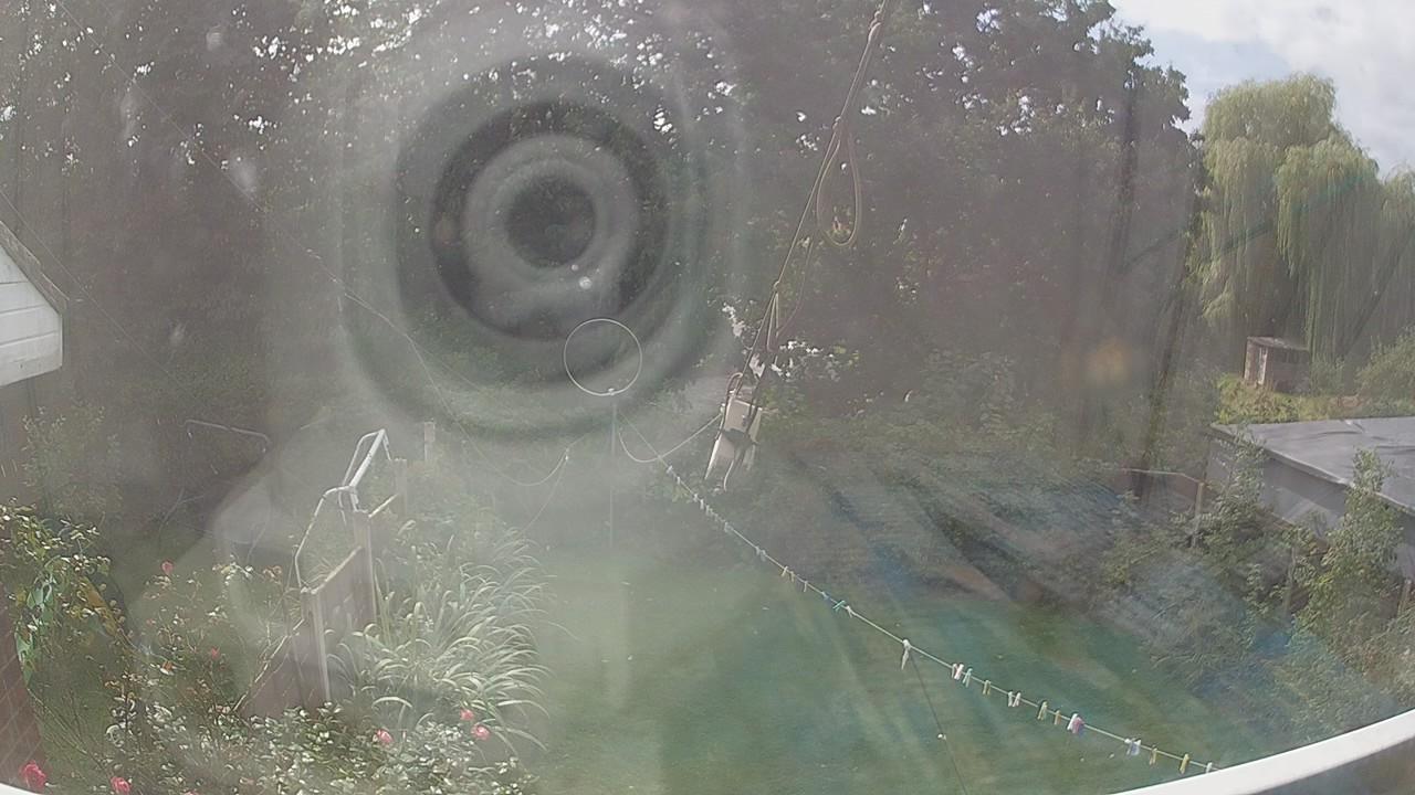20260907_122949_cam1.jpg