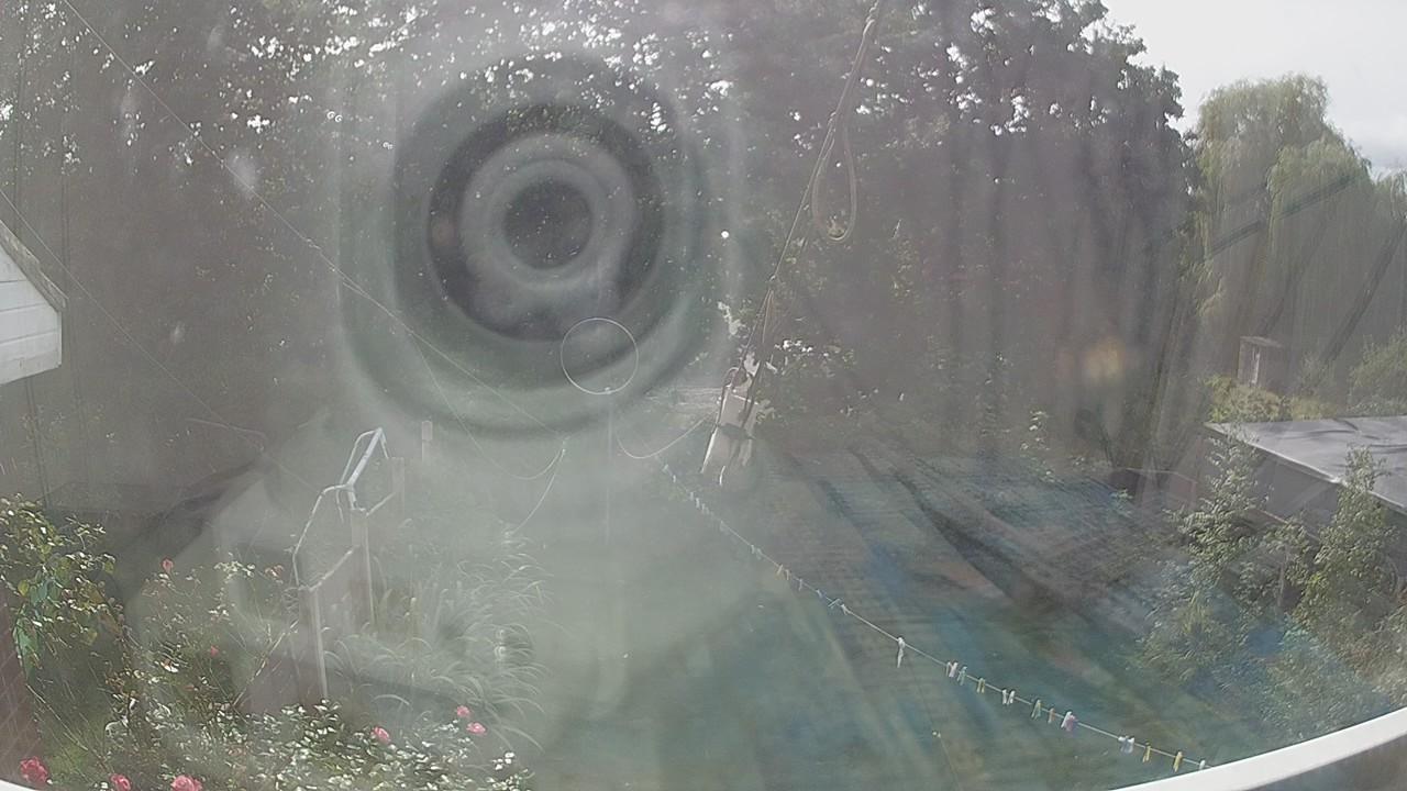 20260907_131712_cam1.jpg