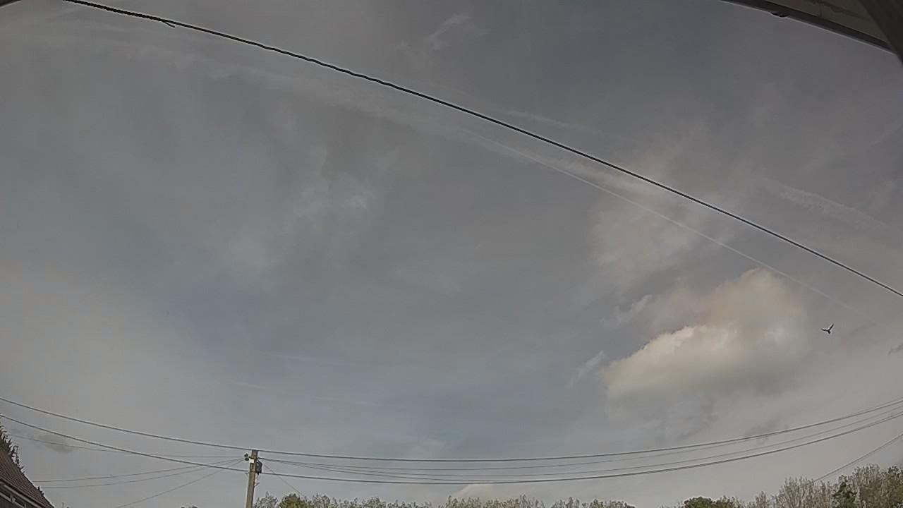 20260907_140809_cam2.jpg