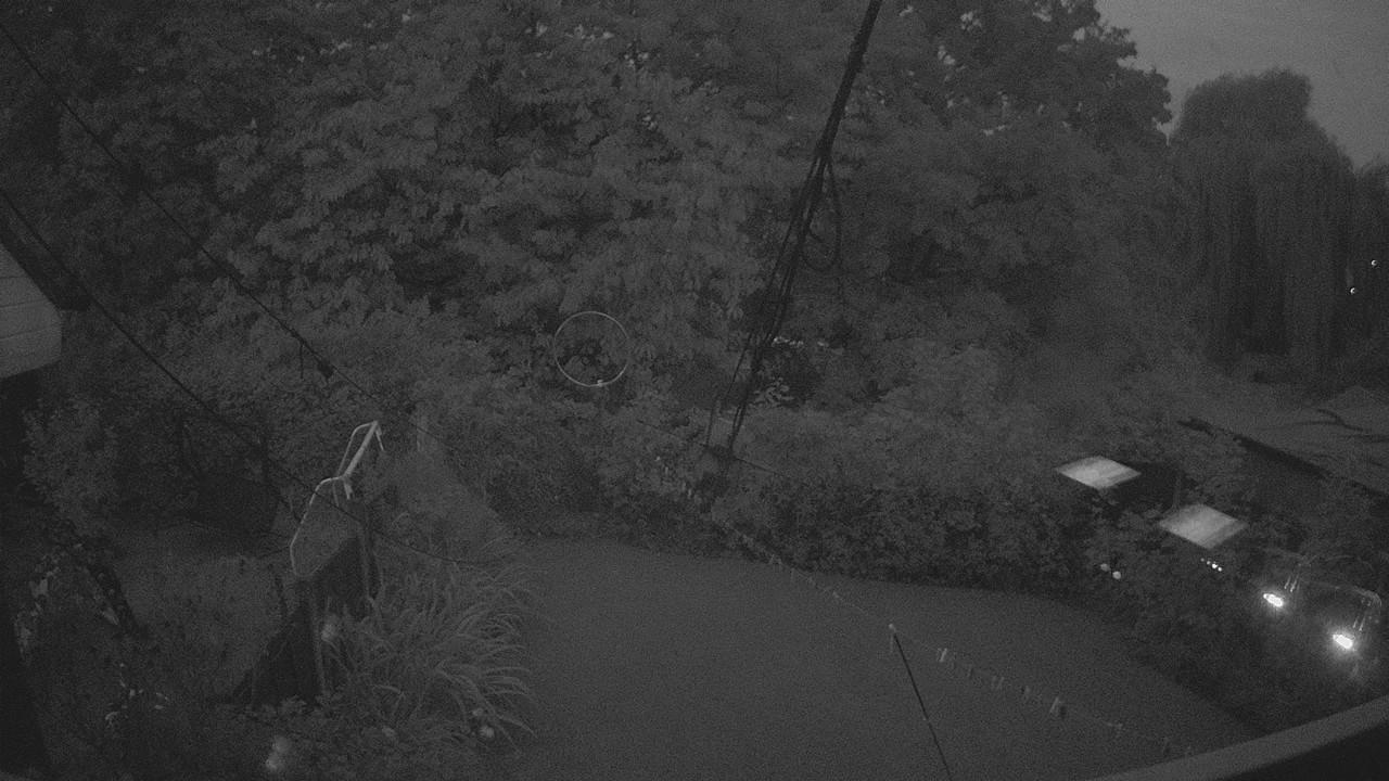 20260908_045653_cam1.jpg