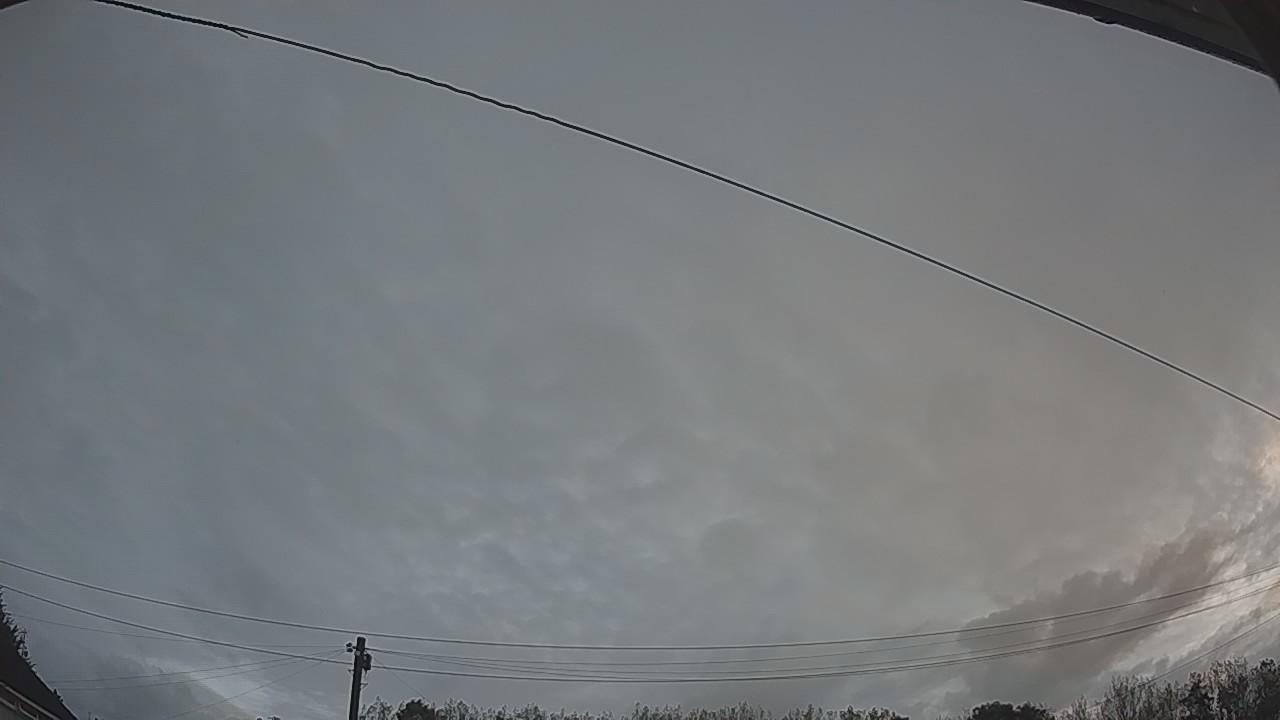 20260908_053110_cam2.jpg