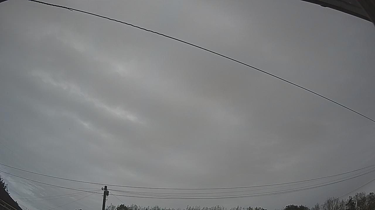 20260908_074146_cam2.jpg