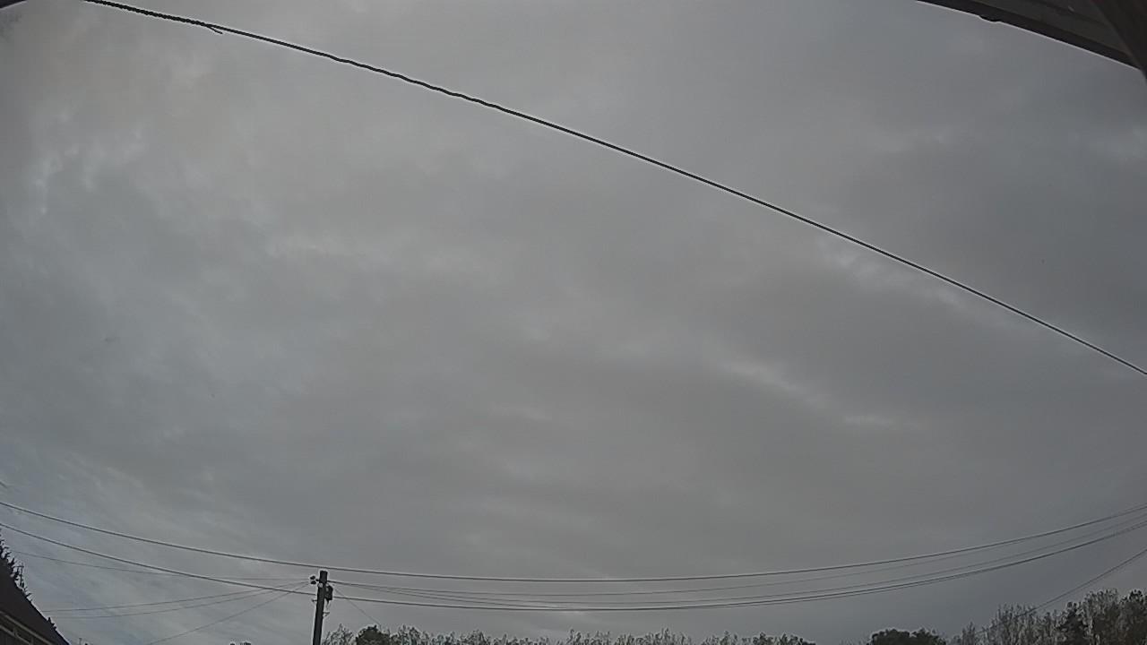 20260908_075041_cam2.jpg