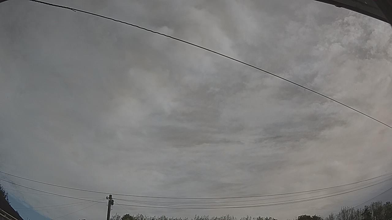 20260908_082412_cam2.jpg