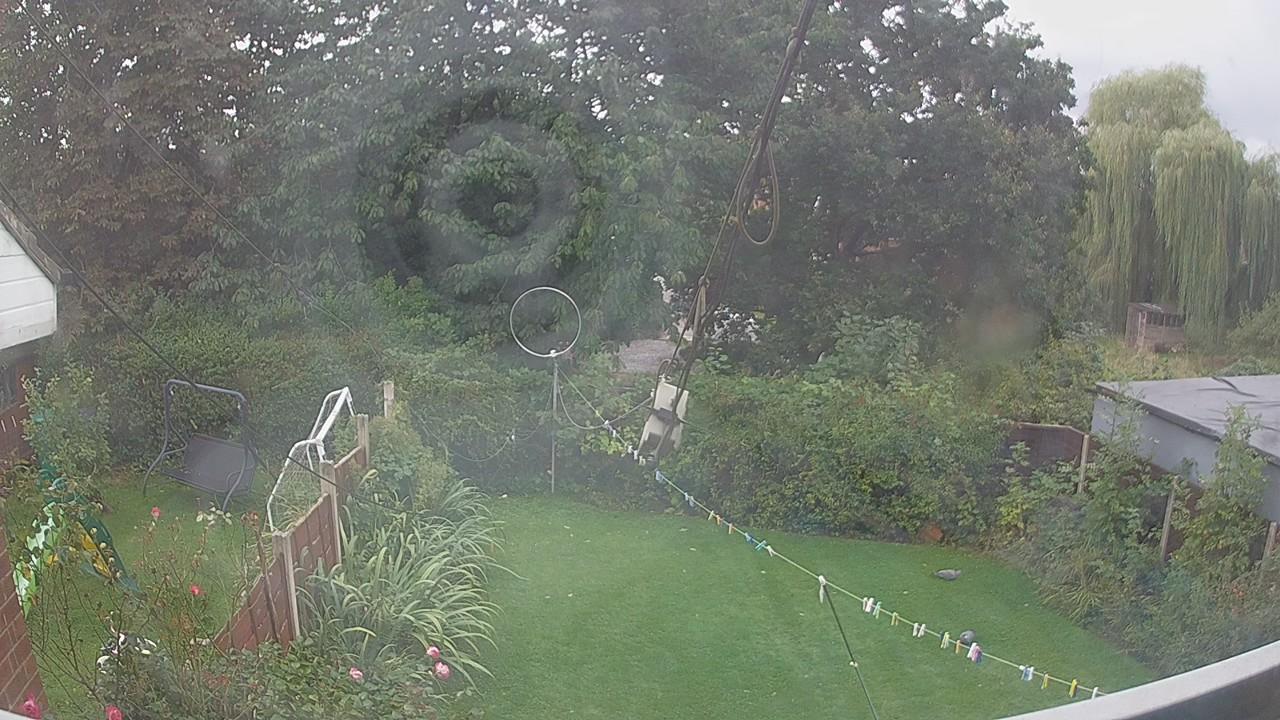 20260908_100321_cam1.jpg