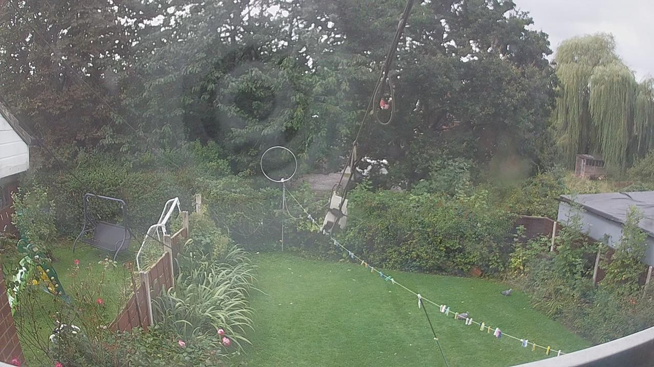 20260908_100704_cam1.jpg