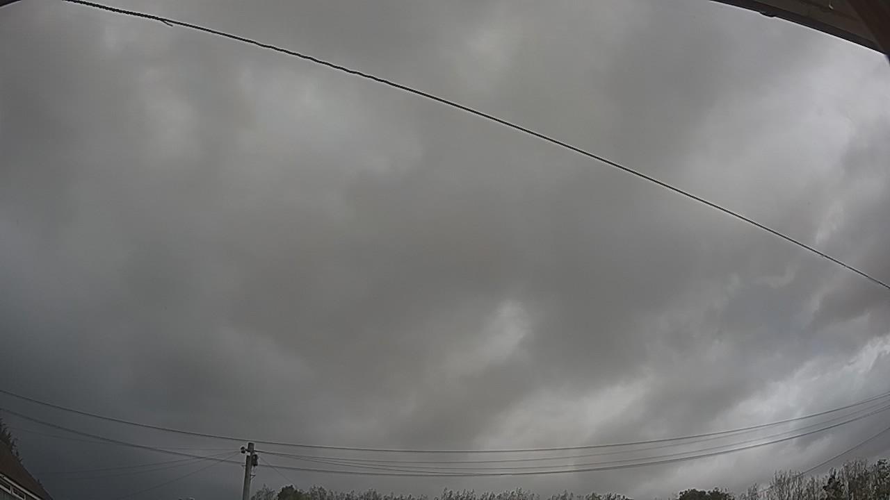20260908_100705_cam2.jpg