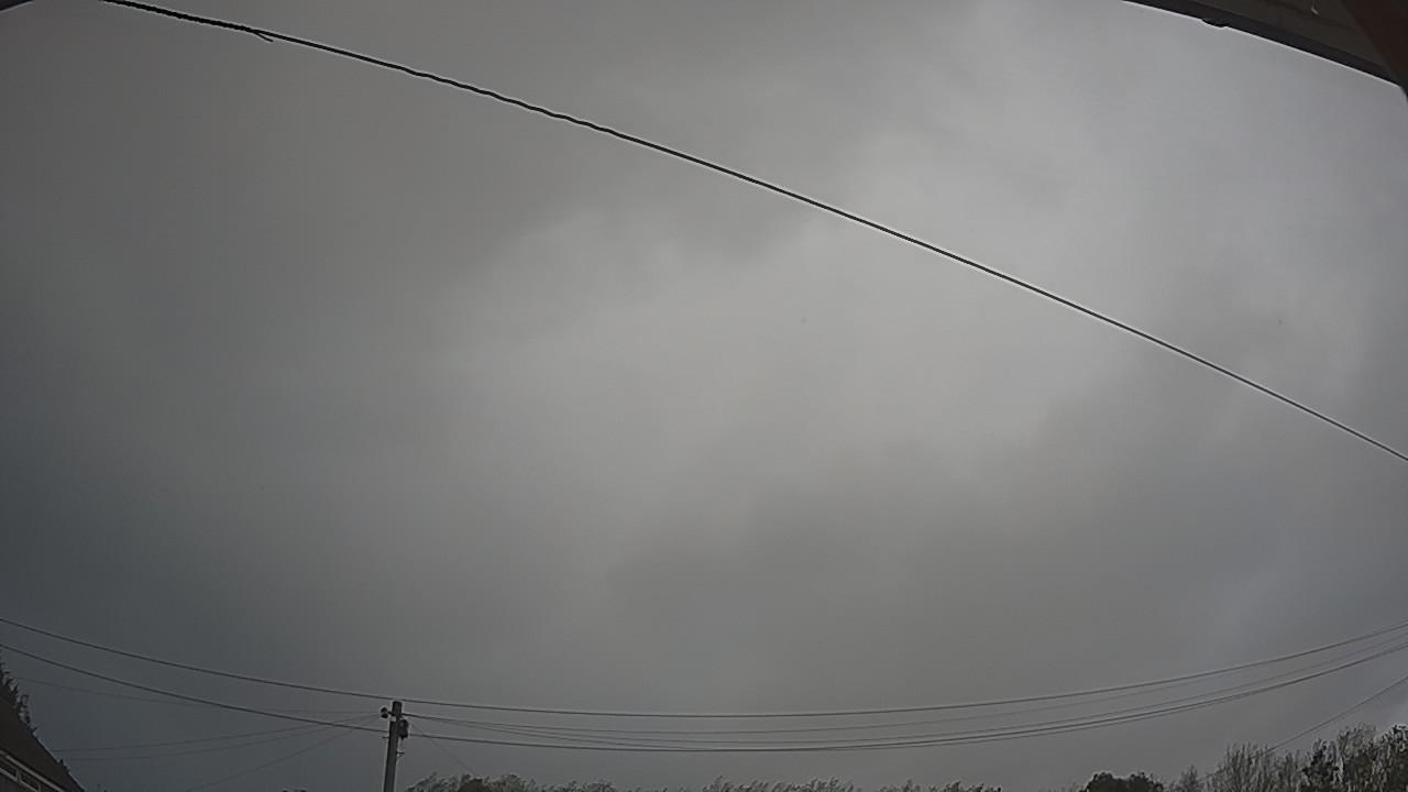 20260908_101047_cam2.jpg