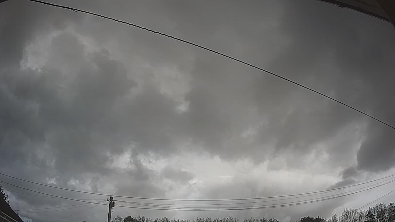 20260908_110239_cam2.jpg