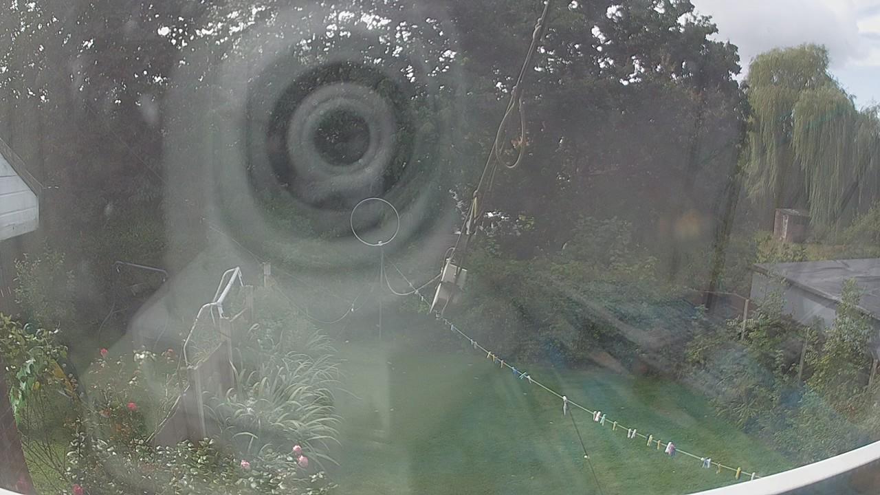 20260908_112319_cam1.jpg