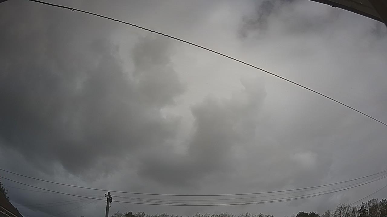 20260908_125005_cam2.jpg