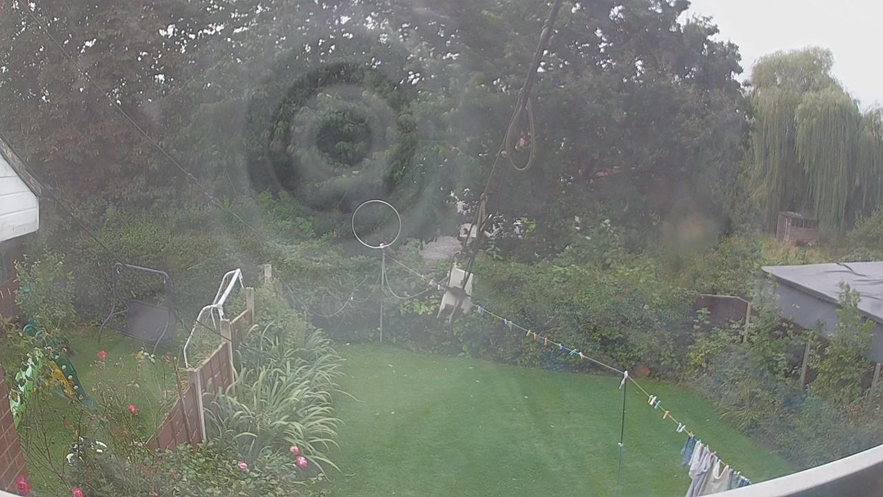 20260908_130004_cam1.jpg