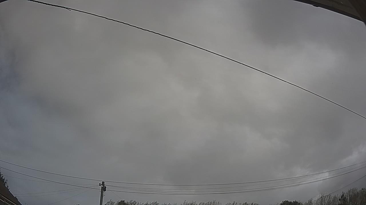 20260908_130005_cam2.jpg