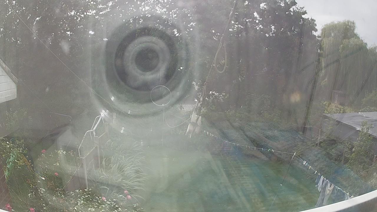 20260908_134831_cam1.jpg
