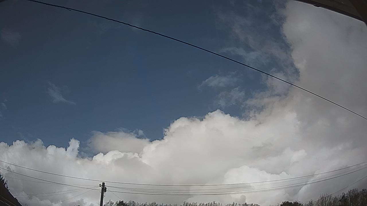 20260908_142042_cam2.jpg