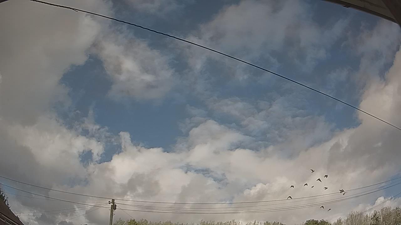 20260908_144428_cam2.jpg