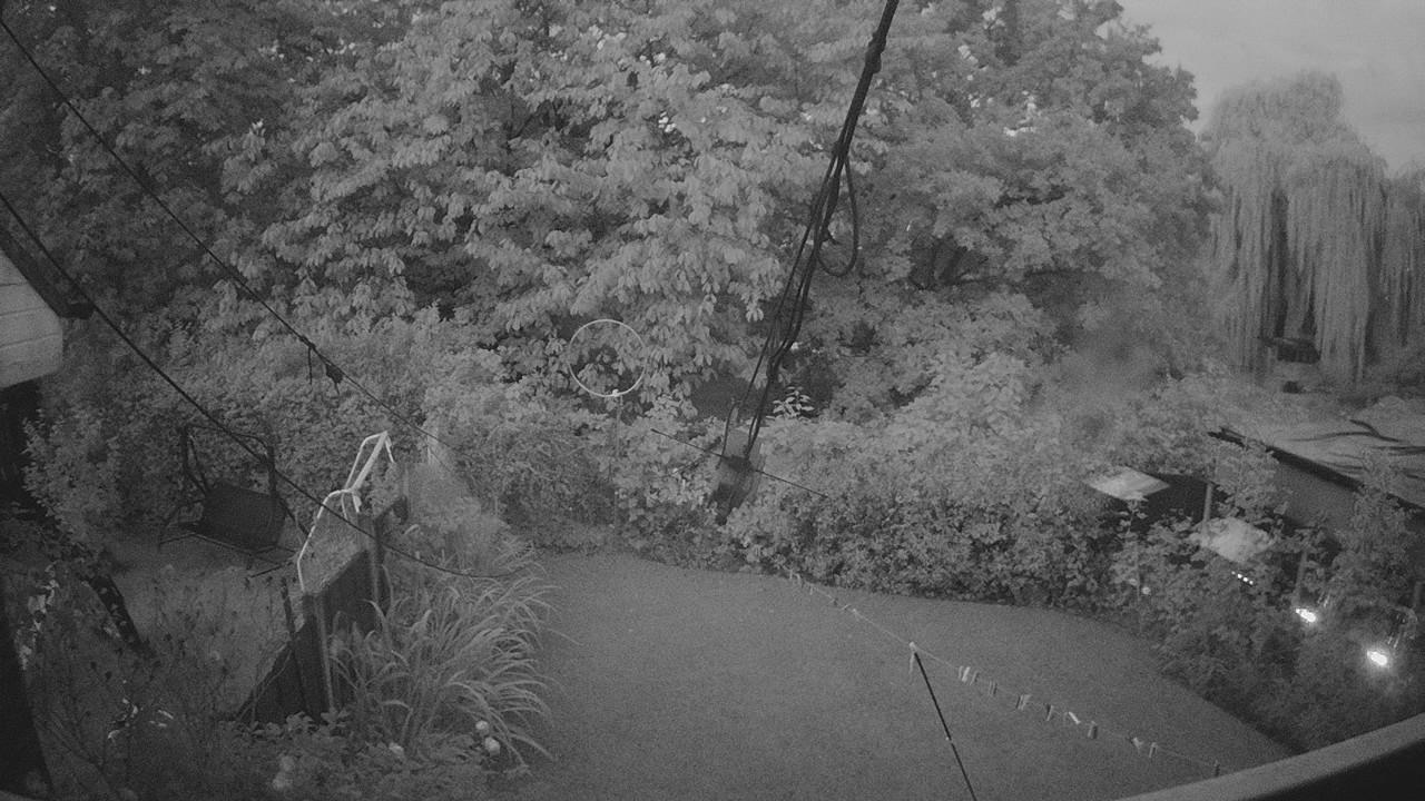 20260909_050100_cam1.jpg