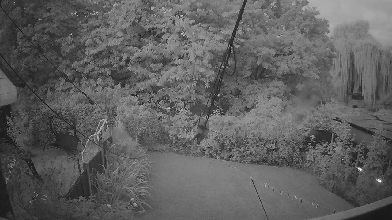 20260909_050954_cam1.jpg