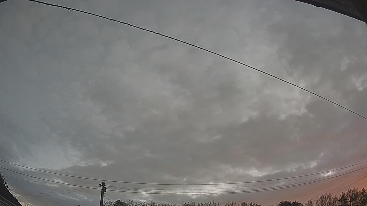 20260909_053619_cam2.jpg