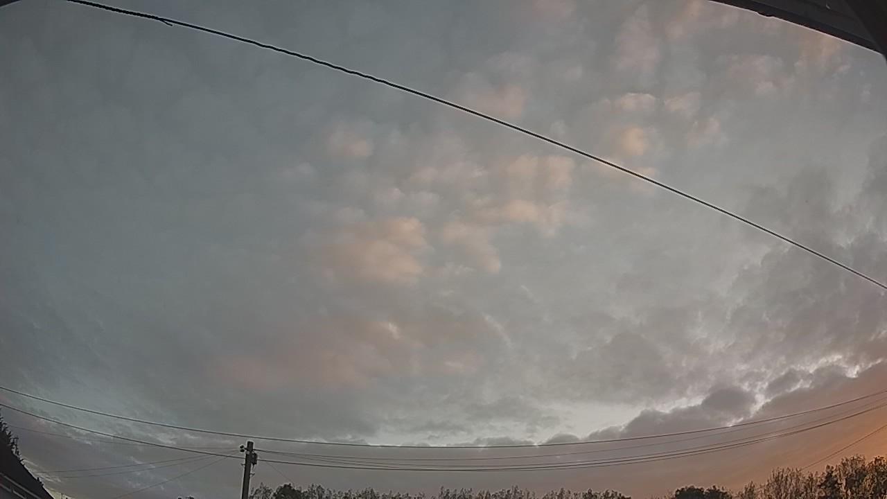 20260909_054455_cam2.jpg
