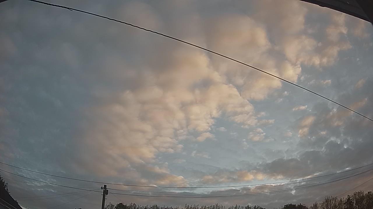 20260909_055331_cam2.jpg