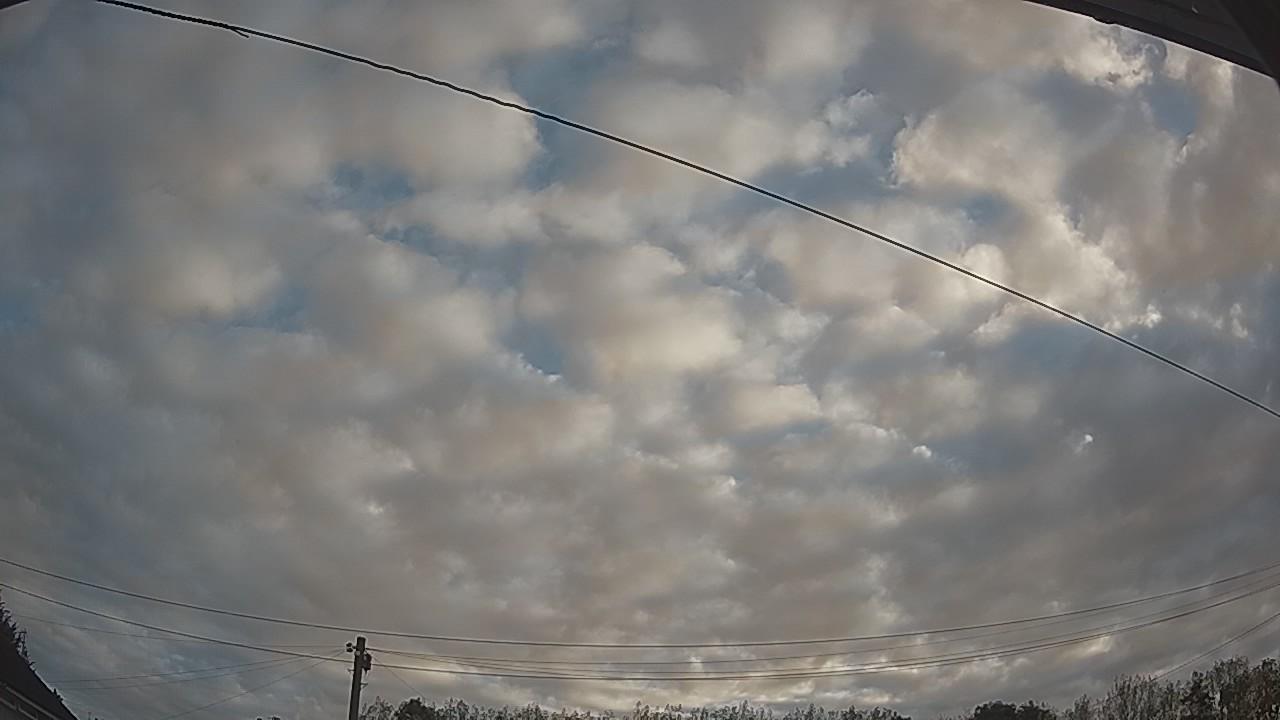20260909_063036_cam2.jpg