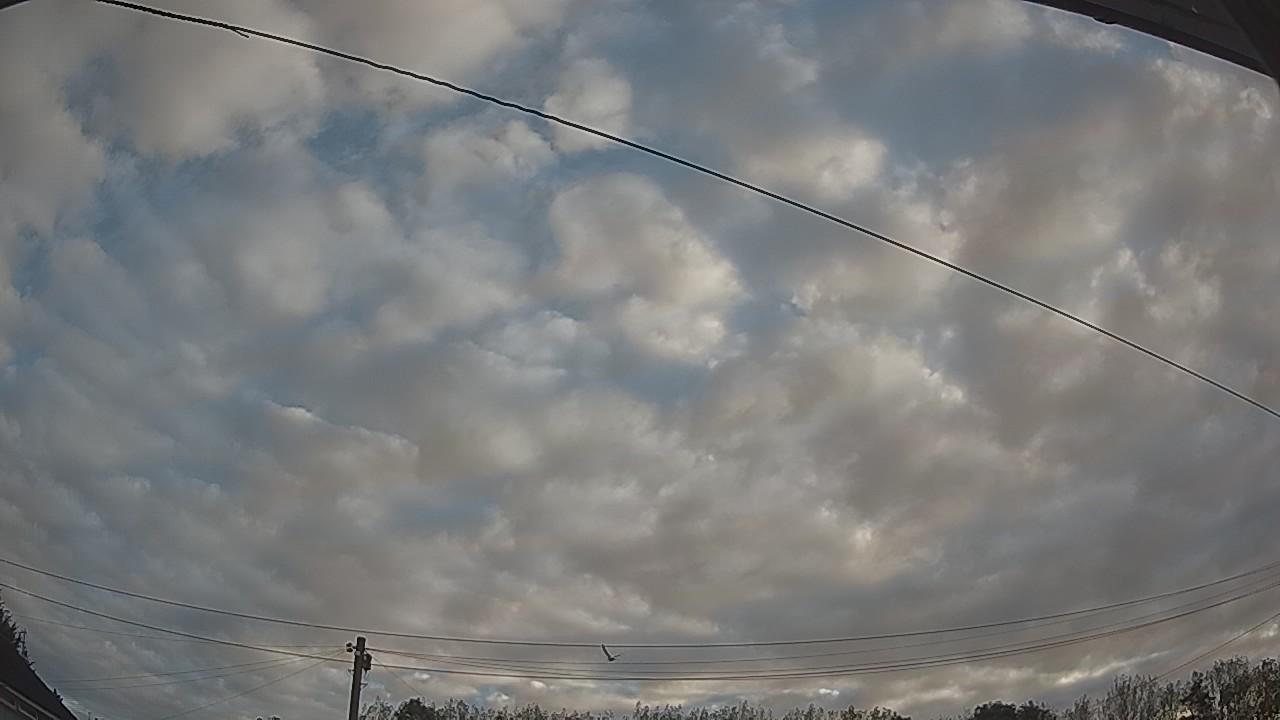 20260909_063454_cam2.jpg