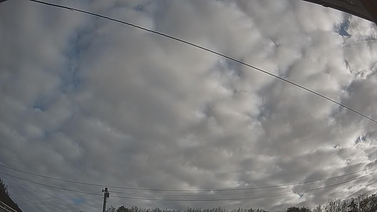 20260909_073208_cam2.jpg