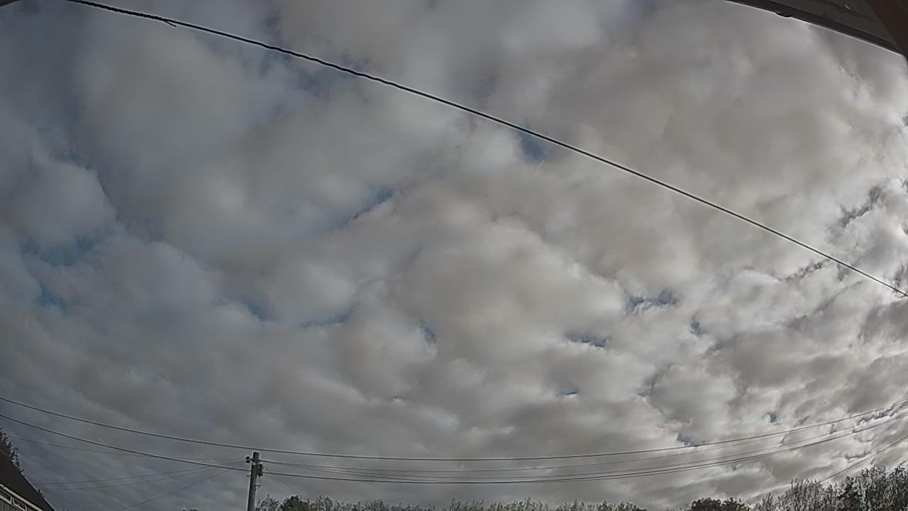 20260909_073644_cam2.jpg