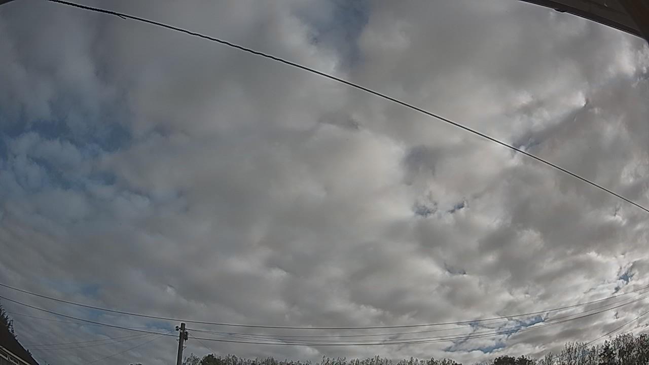 20260909_074120_cam2.jpg