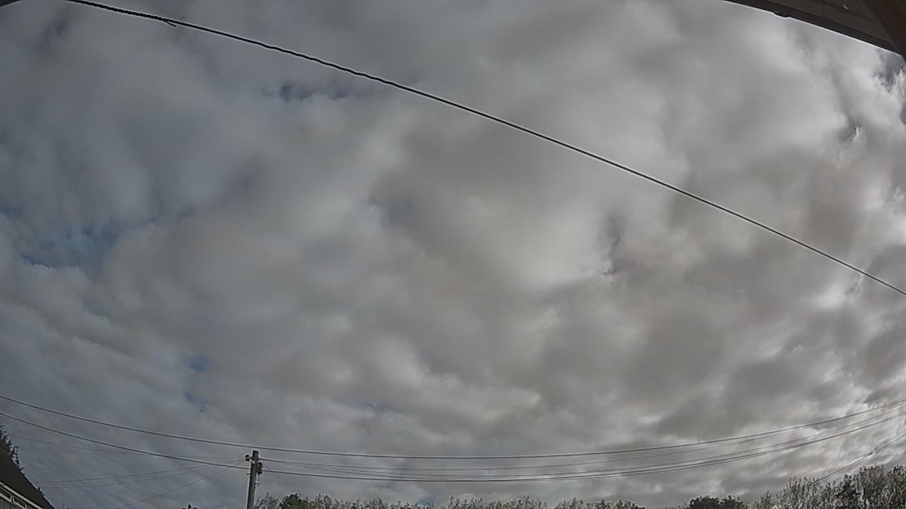 20260909_080403_cam2.jpg