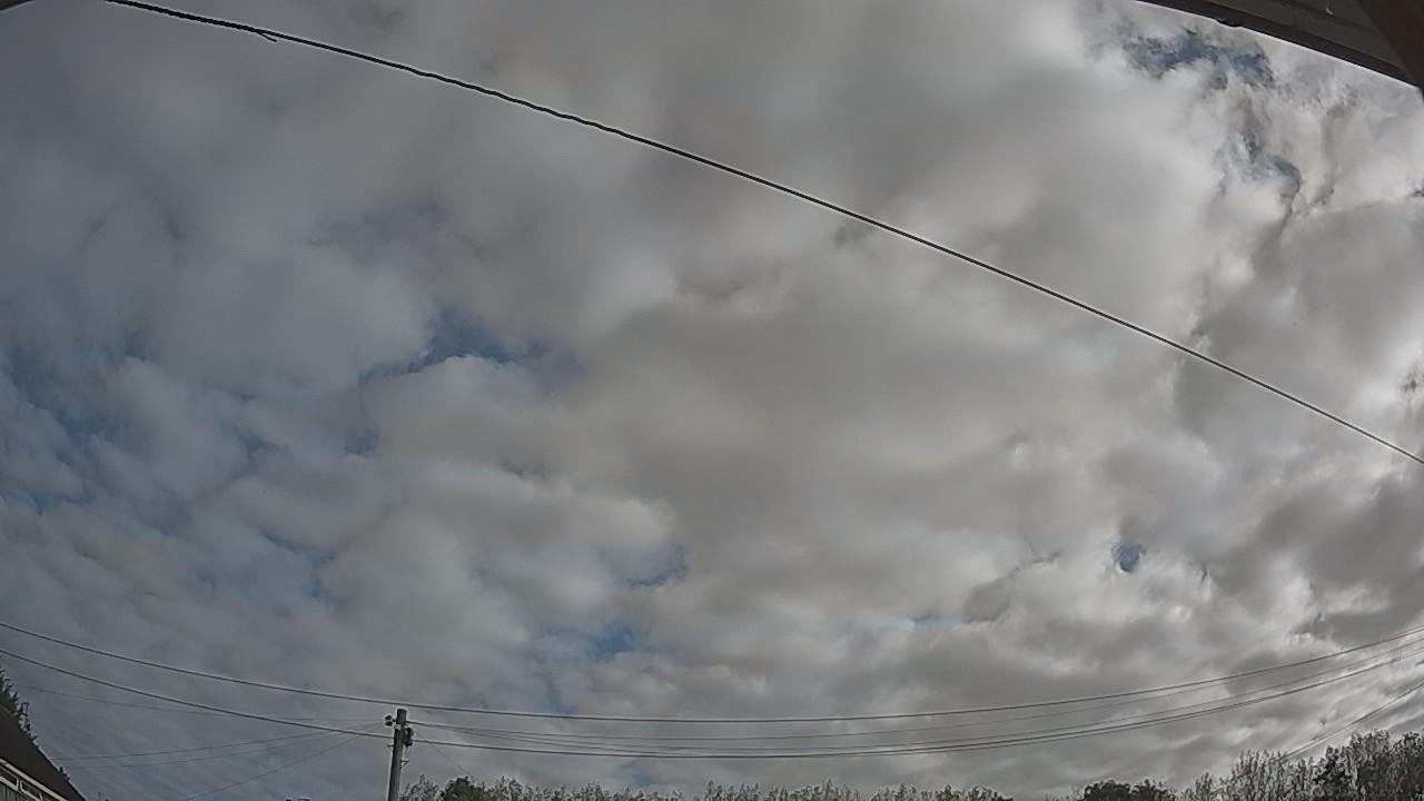 20260909_080831_cam2.jpg
