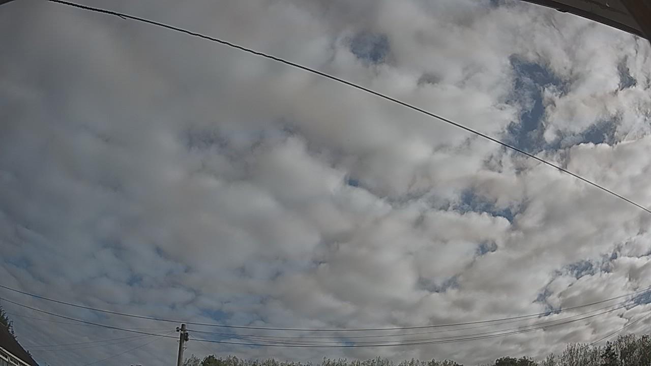 20260909_081258_cam2.jpg