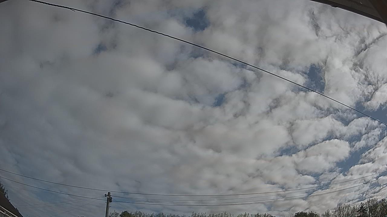 20260909_081725_cam2.jpg