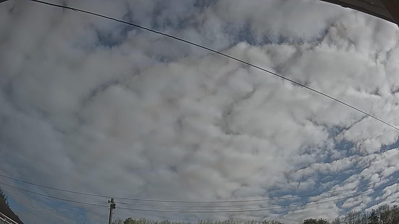 20260909_082152_cam2.jpg