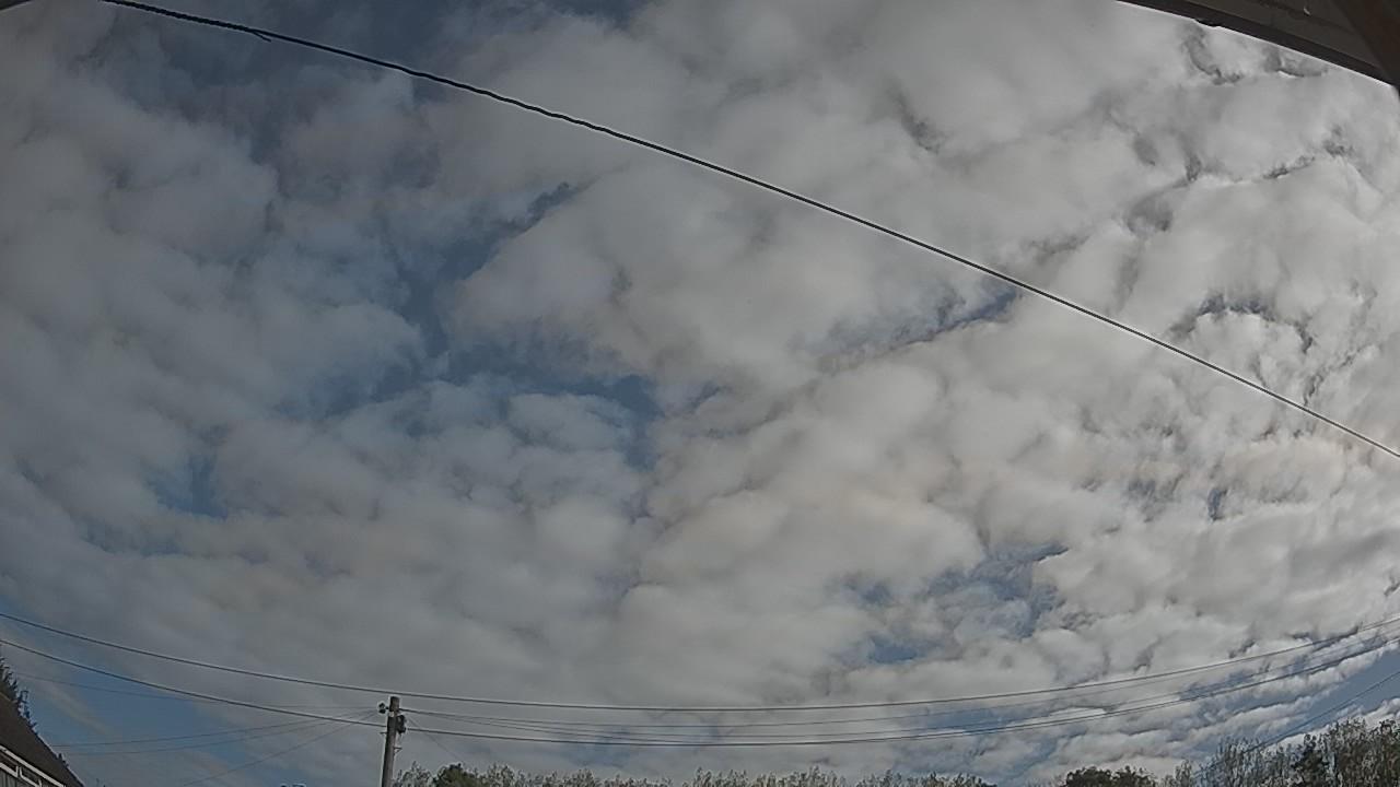 20260909_082619_cam2.jpg