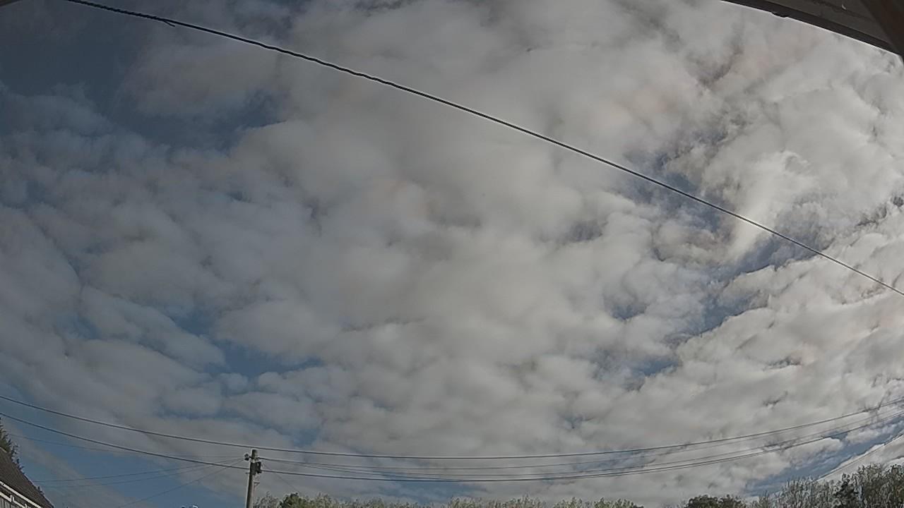 20260909_083028_cam2.jpg