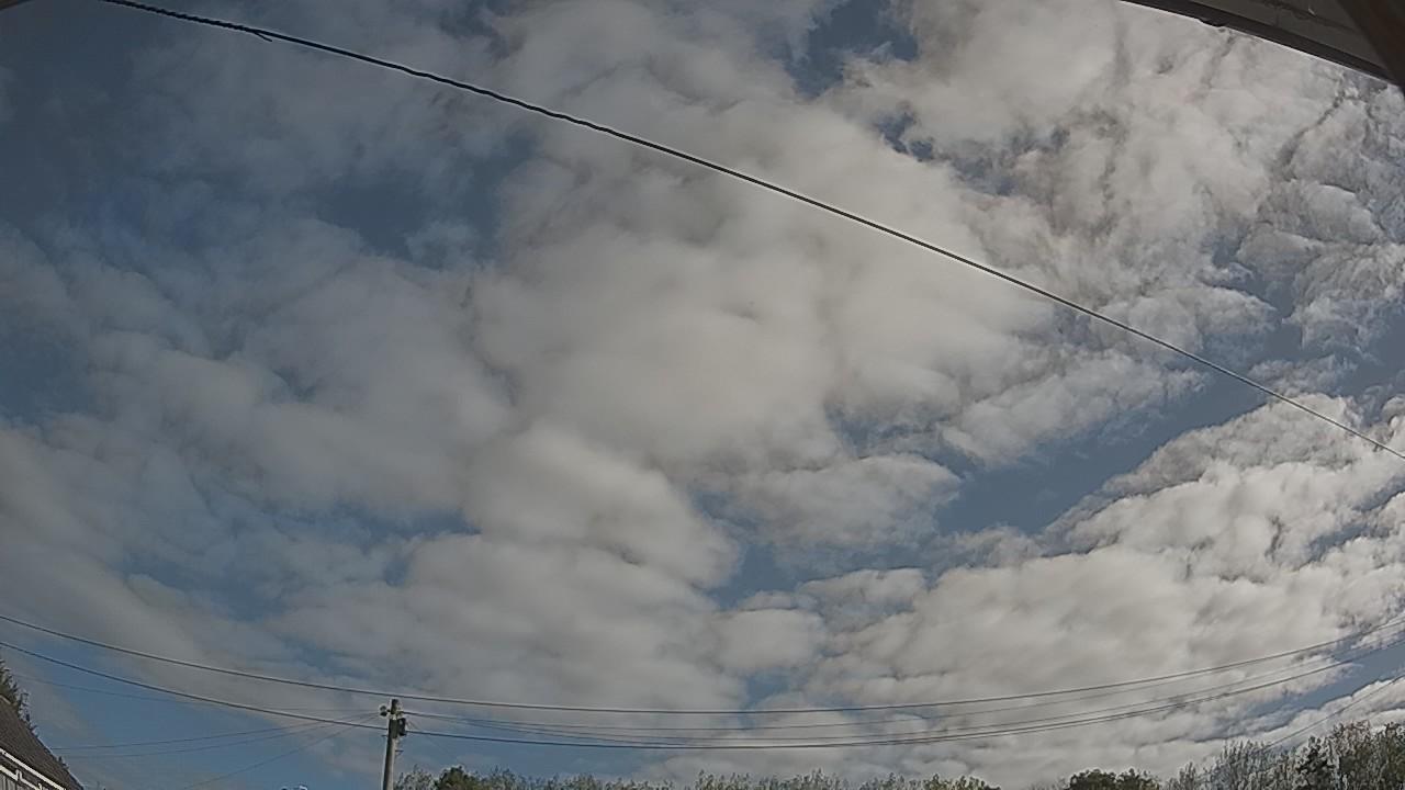 20260909_083437_cam2.jpg