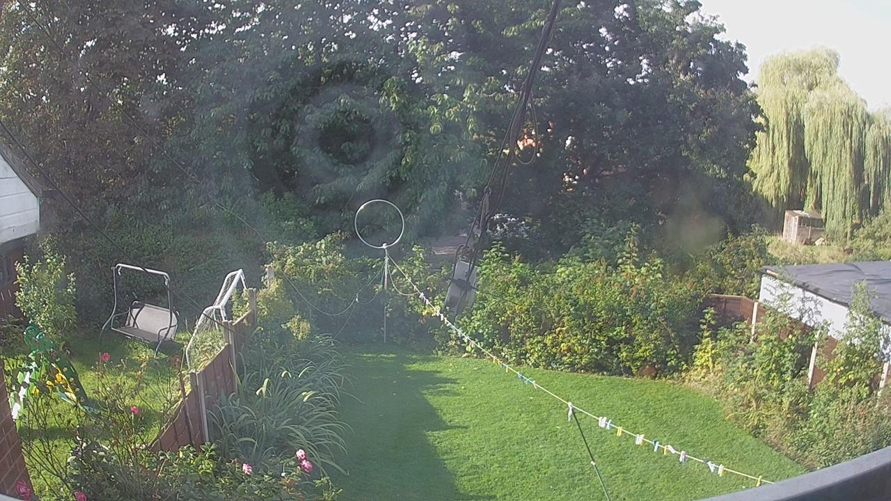 20260909_083845_cam1.jpg