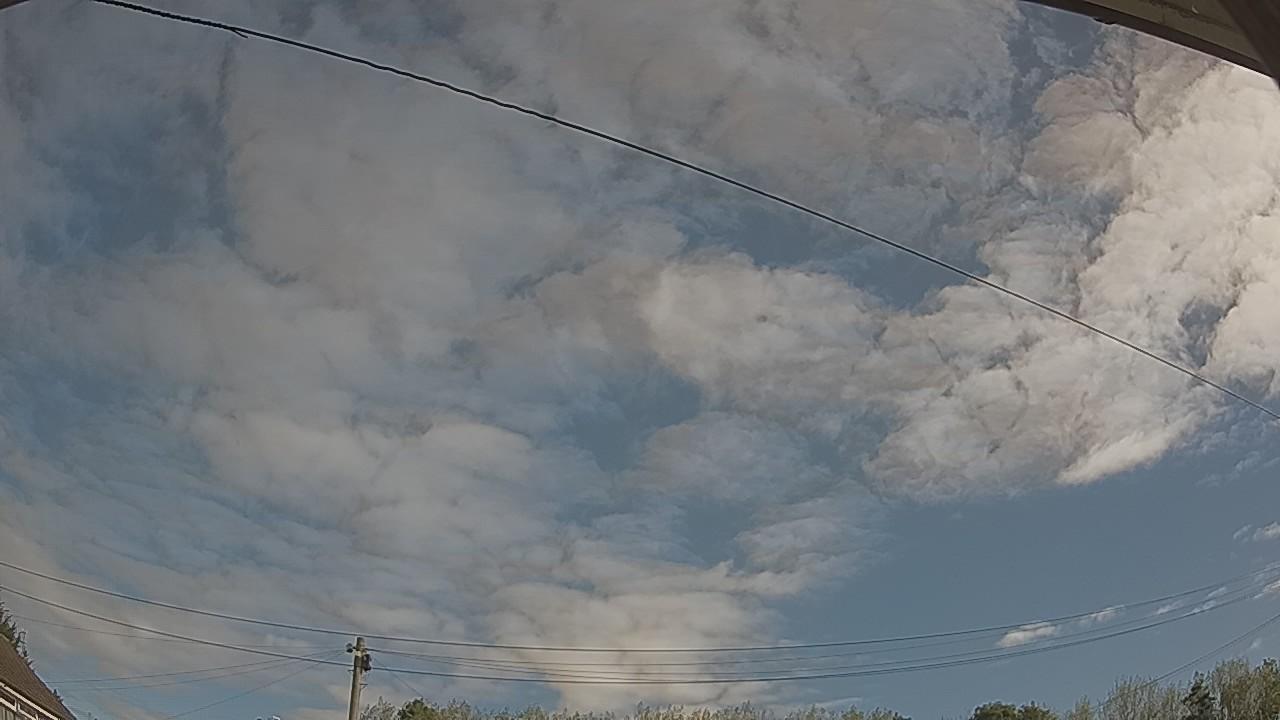 20260909_091121_cam2.jpg