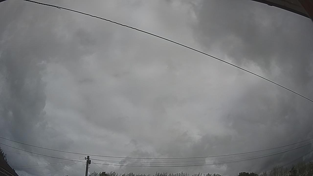 20260909_110126_cam2.jpg