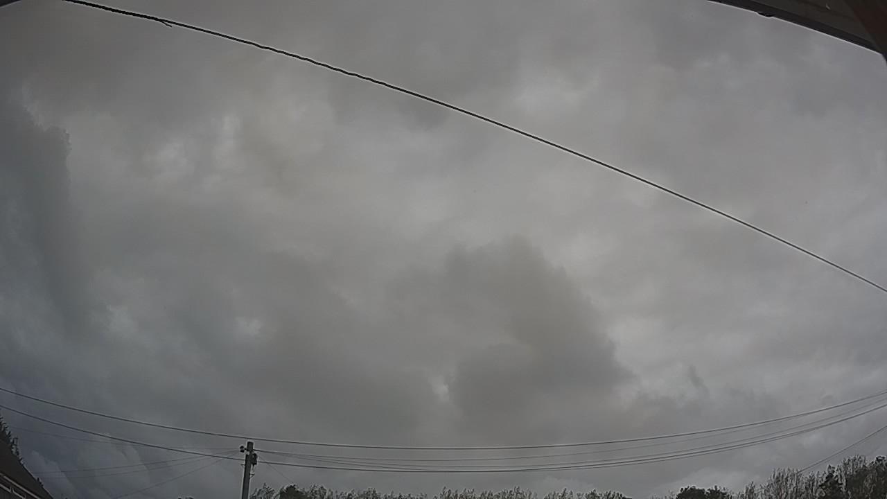 20260909_113240_cam2.jpg