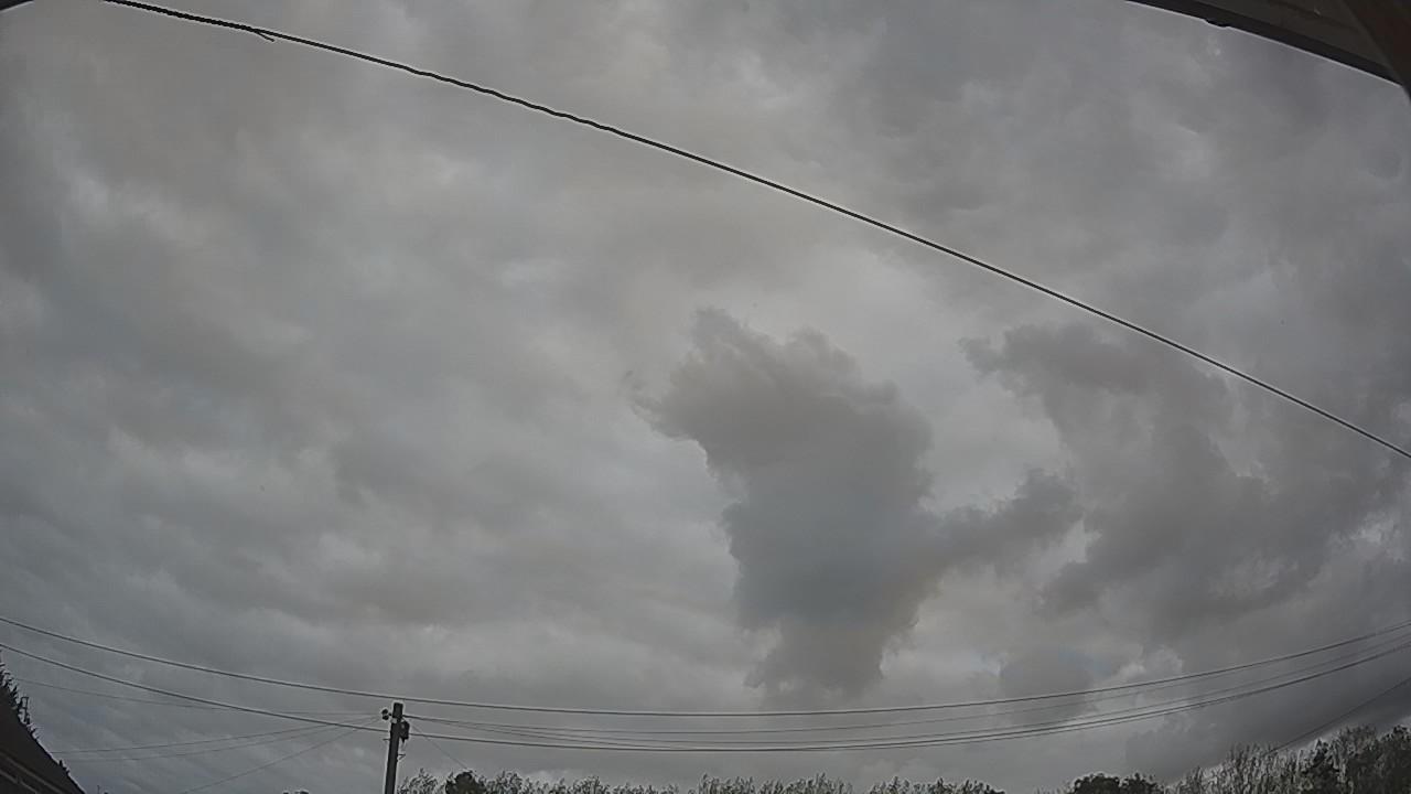 20260909_141310_cam2.jpg