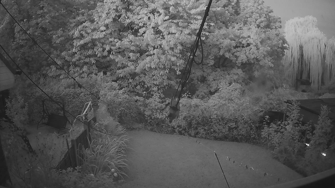 20260910_051102_cam1.jpg