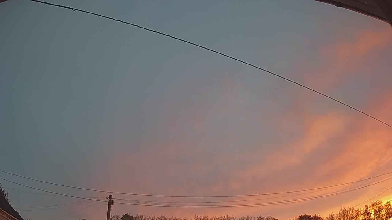 20260910_052034_cam2.jpg