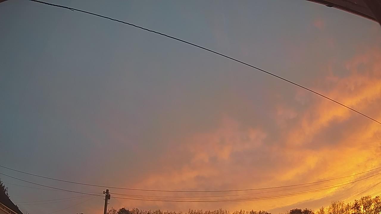 20260910_052519_cam2.jpg